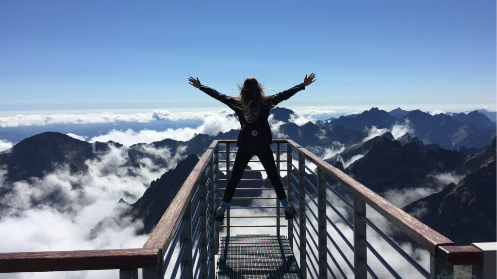 erp implementation success